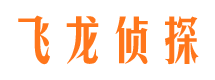 岐山侦探公司